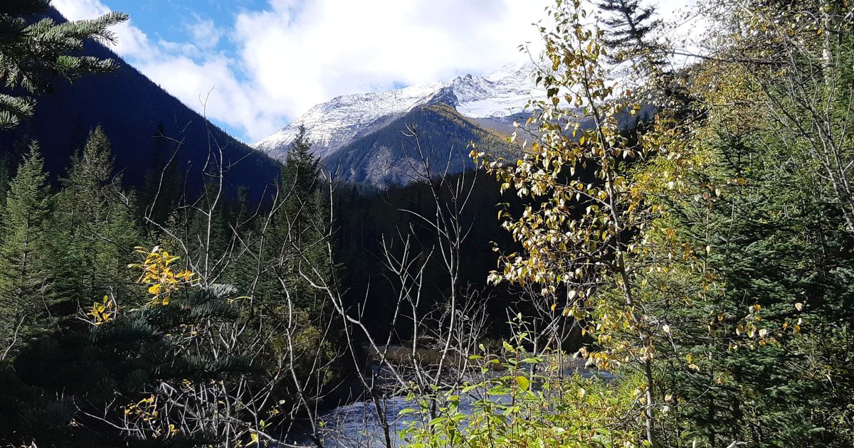 Conquer the Lake of Hanging Glaciers Trail: Waterfalls, Larches & Tips